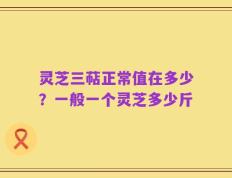 灵芝三萜正常值在多少？一般一个灵芝多少斤