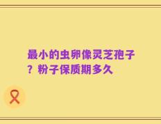 最小的虫卵像灵芝孢子？粉子保质期多久