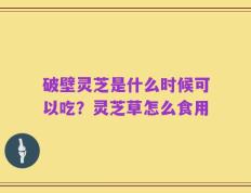 破壁灵芝是什么时候可以吃？灵芝草怎么食用