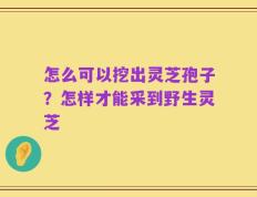 怎么可以挖出灵芝孢子？怎样才能采到野生灵芝