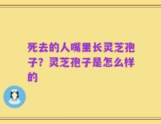 死去的人嘴里长灵芝孢子？灵芝孢子是怎么样的