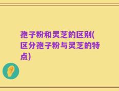 孢子粉和灵芝的区别(区分孢子粉与灵芝的特点)