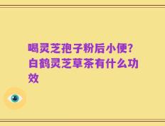 喝灵芝孢子粉后小便？白鹤灵芝草茶有什么功效