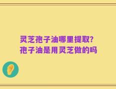 灵芝孢子油哪里提取？孢子油是用灵芝做的吗