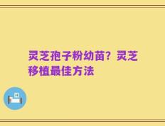 灵芝孢子粉幼苗？灵芝移植最佳方法