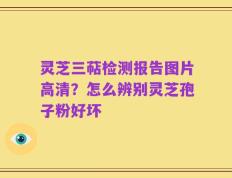 灵芝三萜检测报告图片高清？怎么辨别灵芝孢子粉好坏