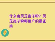 什么山灵芝孢子粉？灵芝孢子粉哪里产的最正宗