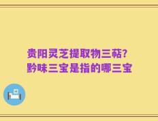 贵阳灵芝提取物三萜？黔味三宝是指的哪三宝
