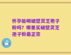 怀孕能喝破壁灵芝袍子粉吗？哪里买破壁灵芝孢子粉最正宗