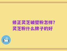 修正灵芝破壁粉怎样？灵芝粉什么牌子的好
