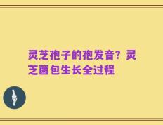 灵芝孢子的孢发音？灵芝菌包生长全过程