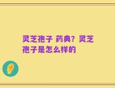 灵芝孢子 药典？灵芝孢子是怎么样的