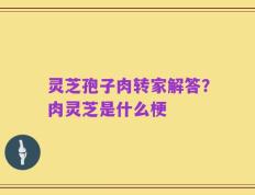 灵芝孢子肉转家解答？肉灵芝是什么梗