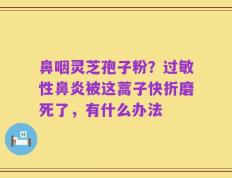 鼻咽灵芝孢子粉？过敏性鼻炎被这蒿子快折磨死了，有什么办法