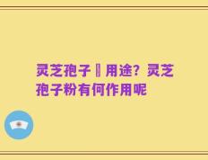 灵芝孢子嘅用途？灵芝孢子粉有何作用呢