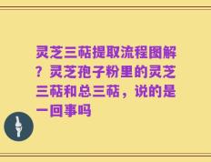 灵芝三萜提取流程图解？灵芝孢子粉里的灵芝三萜和总三萜，说的是一回事吗