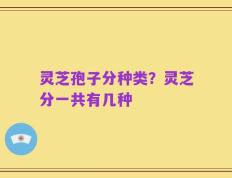 灵芝孢子分种类？灵芝分一共有几种