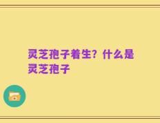 灵芝孢子着生？什么是灵芝孢子