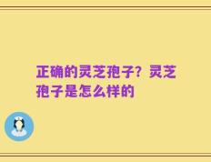 正确的灵芝孢子？灵芝孢子是怎么样的