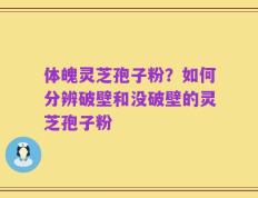 体魄灵芝孢子粉？如何分辨破壁和没破壁的灵芝孢子粉