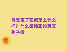 灵芝孢子在灵芝上什么样？什么是纯正的灵芝孢子粉