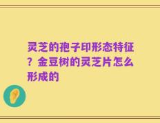 灵芝的孢子印形态特征？金豆树的灵芝片怎么形成的