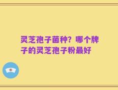 灵芝孢子菌种？哪个牌子的灵芝孢子粉最好