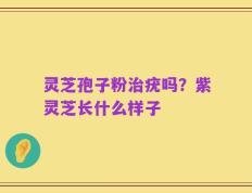 灵芝孢子粉治疣吗？紫灵芝长什么样子