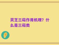 灵芝三萜作用机理？什么是三萜类