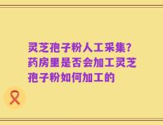灵芝孢子粉人工采集？药房里是否会加工灵芝孢子粉如何加工的