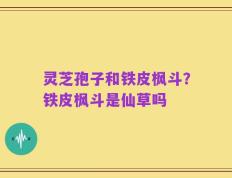 灵芝孢子和铁皮枫斗？铁皮枫斗是仙草吗