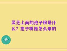 灵芝上面的孢子粉是什么？孢子粉是怎么来的