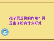孢子灵芝粉的作用？灵芝孢子粉有什么好处