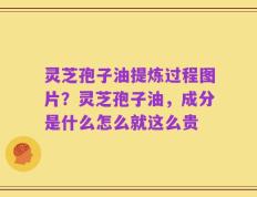 灵芝孢子油提炼过程图片？灵芝孢子油，成分是什么怎么就这么贵