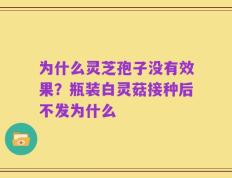 为什么灵芝孢子没有效果？瓶装白灵菇接种后不发为什么