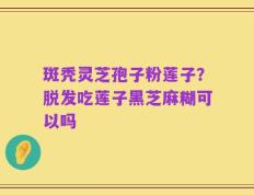 斑秃灵芝孢子粉莲子？脱发吃莲子黑芝麻糊可以吗