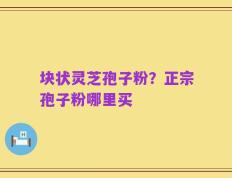 块状灵芝孢子粉？正宗孢子粉哪里买