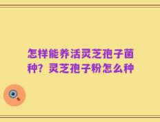 怎样能养活灵芝孢子菌种？灵芝孢子粉怎么种