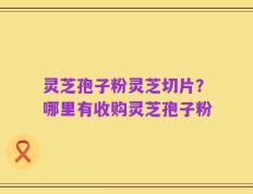 灵芝孢子粉灵芝切片？哪里有收购灵芝孢子粉