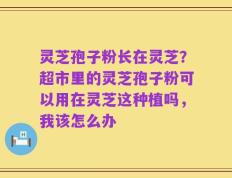 灵芝孢子粉长在灵芝？超市里的灵芝孢子粉可以用在灵芝这种植吗，我该怎么办