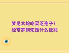 梦见大蛇吃灵芝孢子？经常梦到蛇是什么征兆