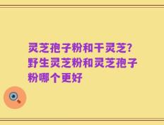 灵芝孢子粉和干灵芝？野生灵芝粉和灵芝孢子粉哪个更好