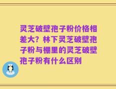 灵芝破壁孢子粉价格相差大？林下灵芝破壁孢子粉与棚里的灵芝破壁孢子粉有什么区别