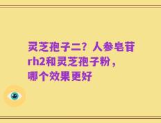 灵芝孢子二？人参皂苷rh2和灵芝孢子粉，哪个效果更好