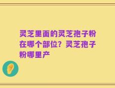 灵芝里面的灵芝孢子粉在哪个部位？灵芝孢子粉哪里产