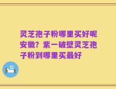 灵芝孢子粉哪里买好呢安徽？紫一破壁灵芝孢子粉到哪里买最好