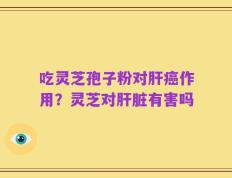 吃灵芝孢子粉对肝癌作用？灵芝对肝脏有害吗