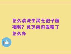 怎么清洗生灵芝孢子菌视频？灵芝菌包发霉了怎么办