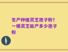 生产种植灵芝孢子粉？一棵灵芝能产多少孢子粉
