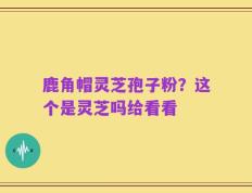 鹿角帽灵芝孢子粉？这个是灵芝吗给看看